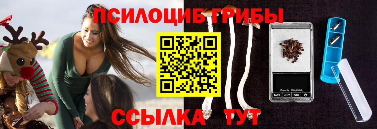 Галлюциногенные грибы мухоморы Черемхово