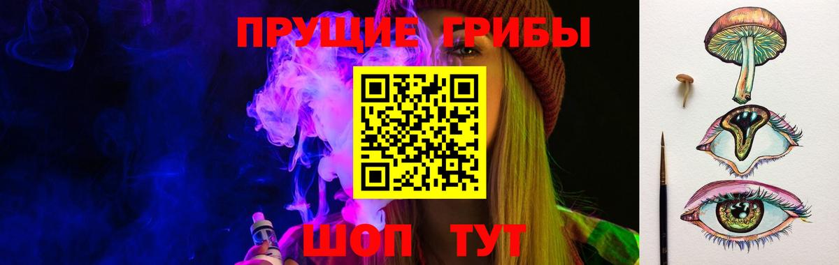 Черемхово  Псилоцибиновые грибы GOLDEN TEACHER  Вход с VPN 